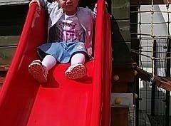 Biedronki
