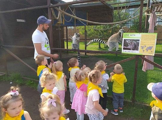 Lemur Park