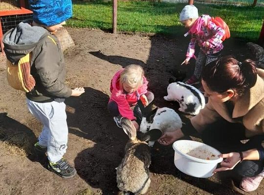 Lemur Park