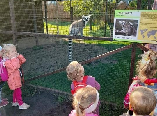 Lemur Park