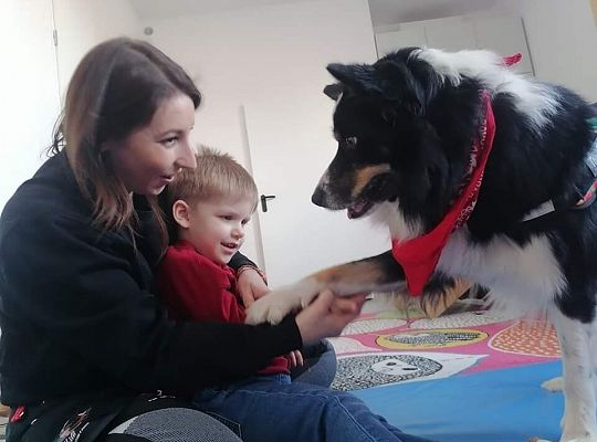 Dogoterapia